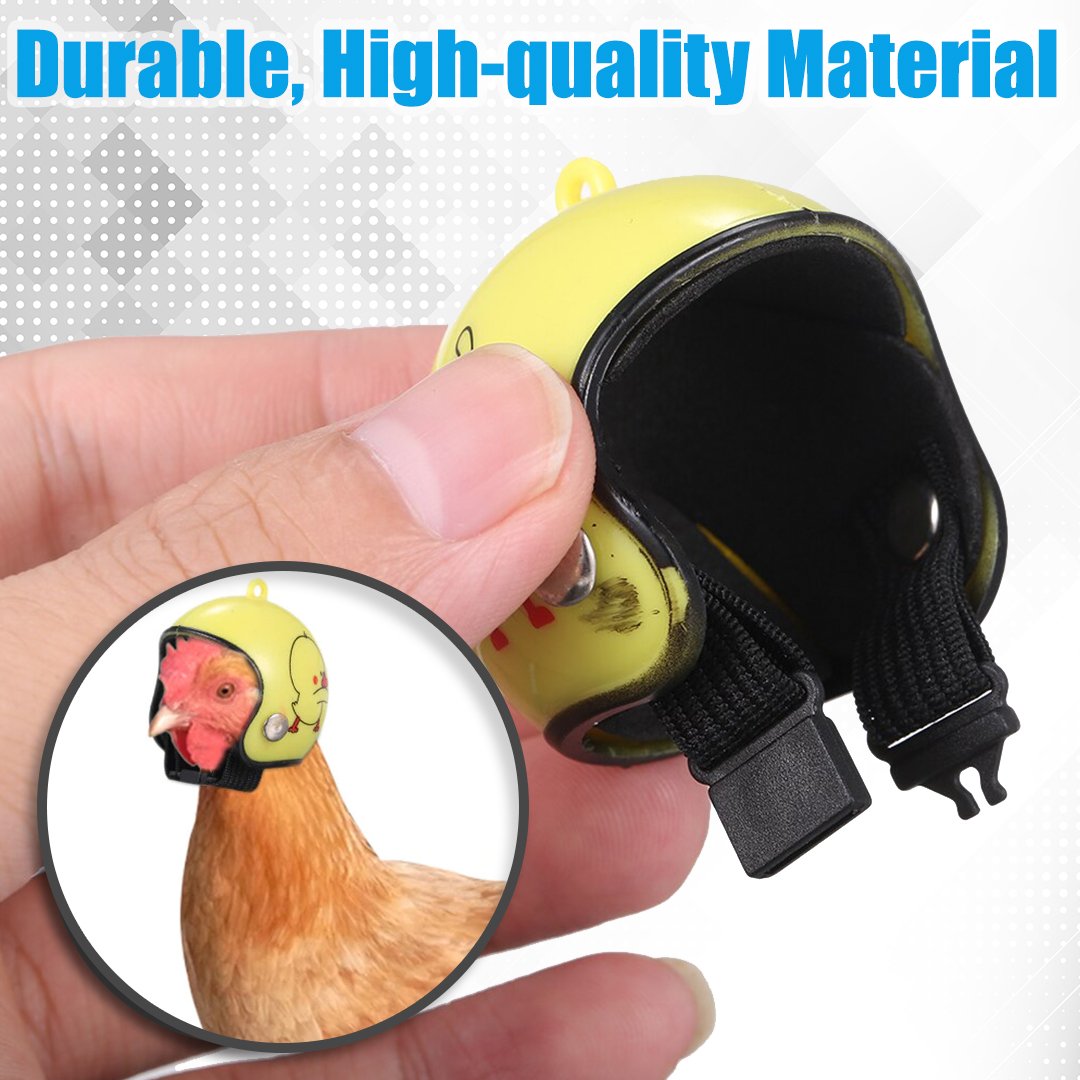HeadPROTECT Chicken Safety Helmet