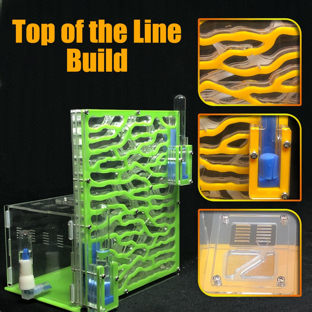 ClearGlass Ant Sand Castle Kit