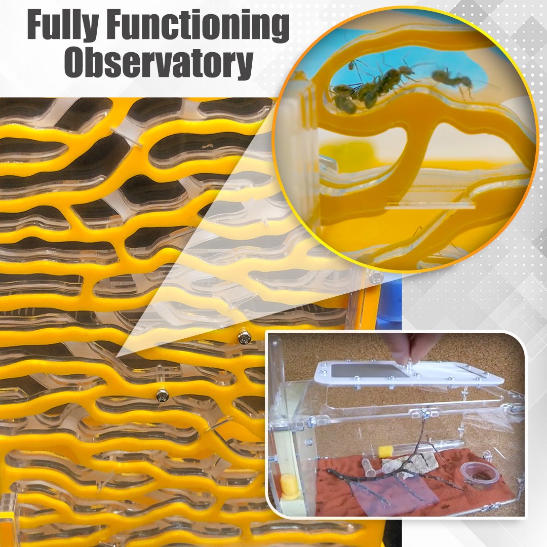 ClearGlass Ant Sand Castle Kit