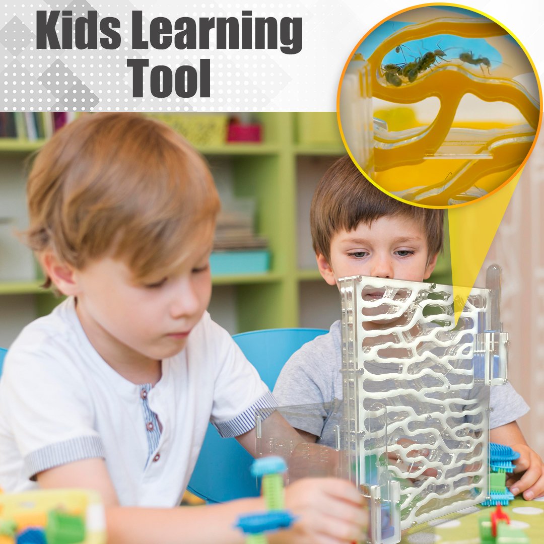 ClearGlass Ant Sand Castle Kit