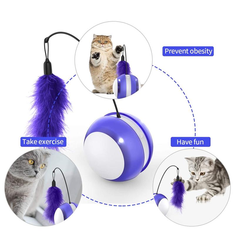 Automatic Cat Chasing Ball