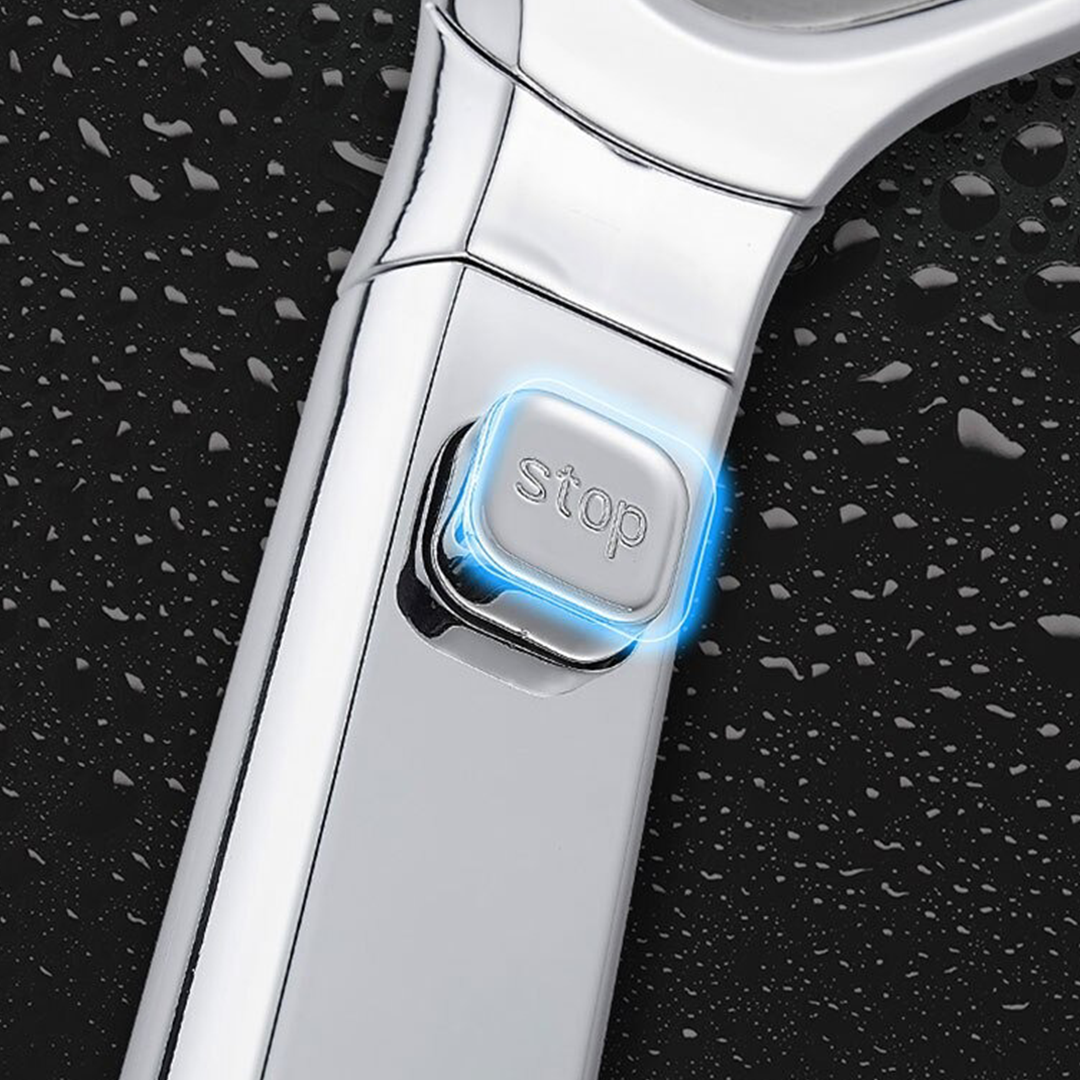 VG Handheld Pressurized Shower