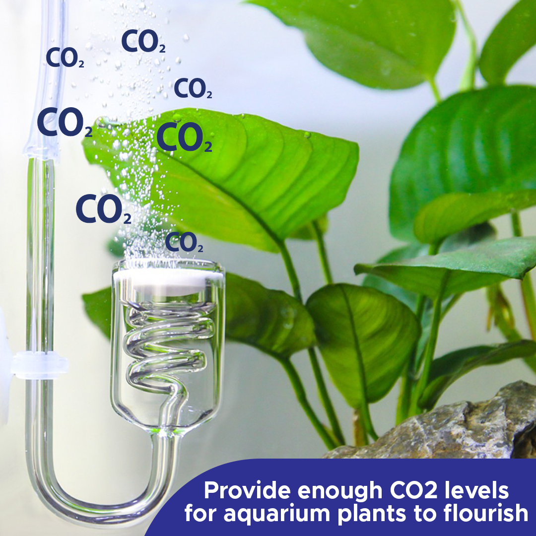 Bubble+ CO2 Aquarium Diffuser