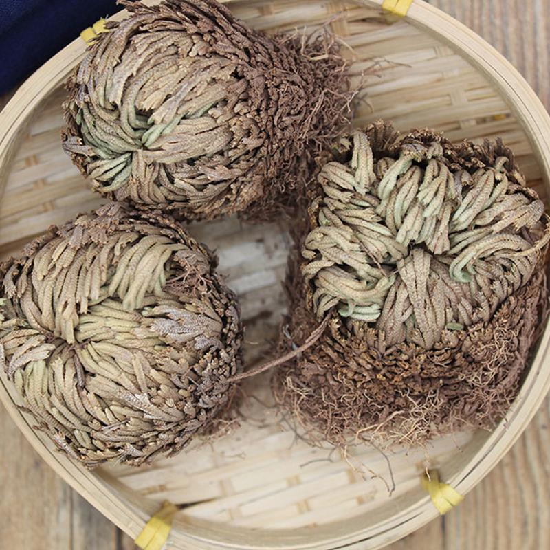 Rose Of Jericho - The Resurrection Plant