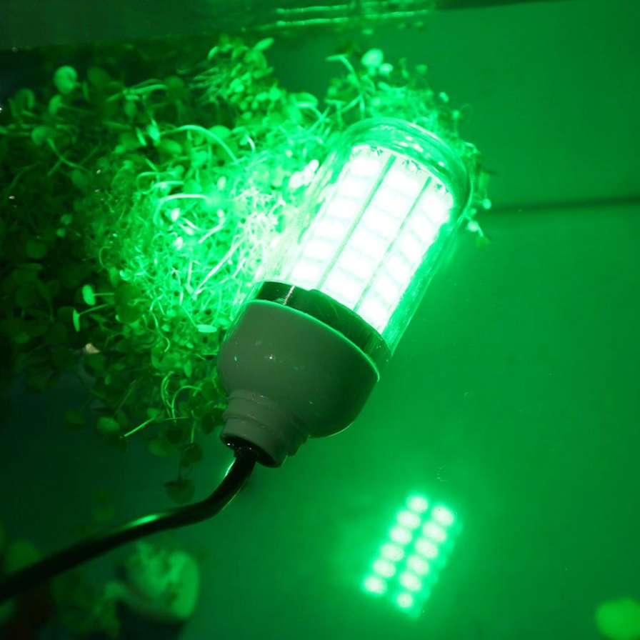 AquaLight™ LED Fishing Light