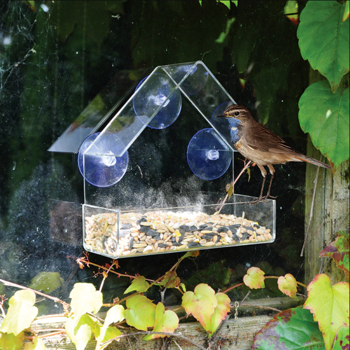 Mountable Clear Bird House