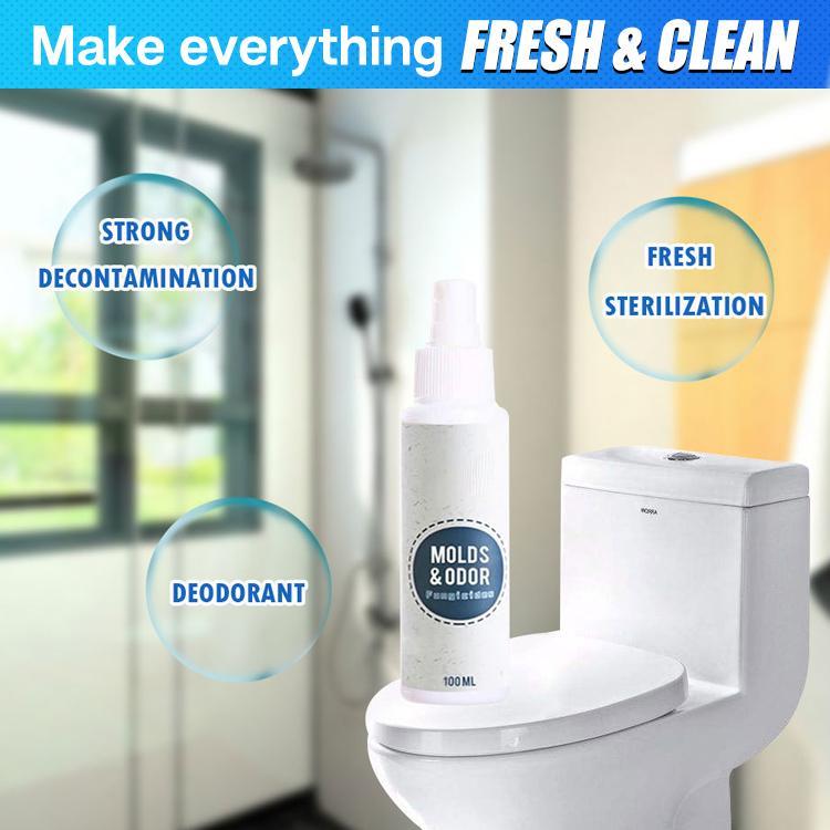 CleanHouse Mold and Odor Remover Spray