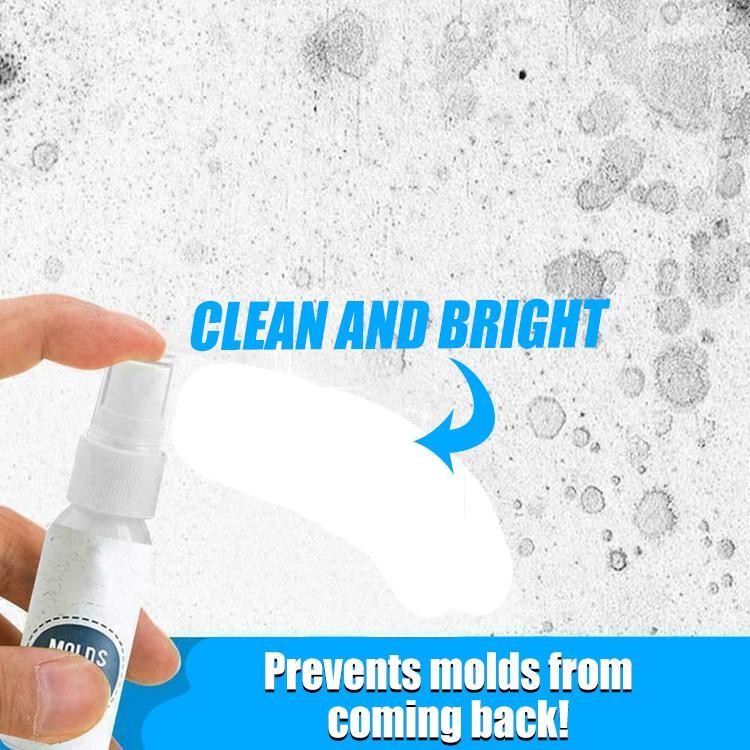 CleanHouse Mold and Odor Remover Spray