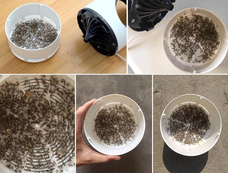 Mosquito Killer Trap