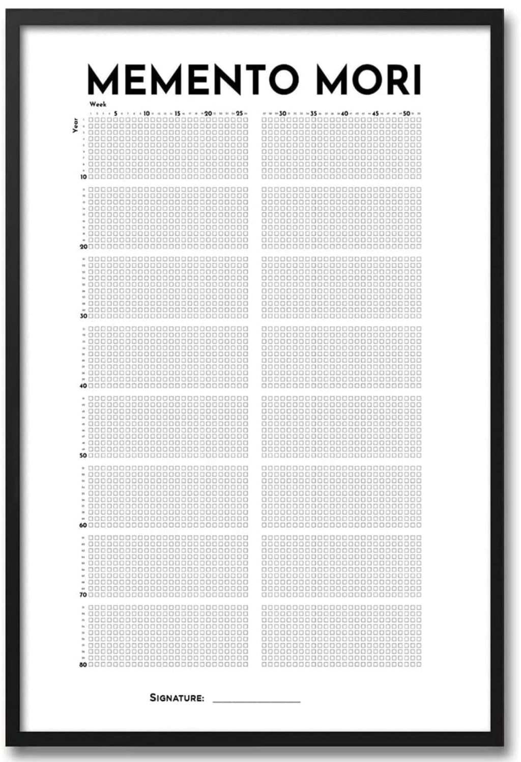 LifeGoal Tracker: Your Memento Mori Calendar