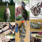 Bionic Mini 2 inch Minnow Swim Bait