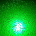 AquaLight™ LED Fishing Light