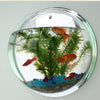 Wall Mounted Fish Tank Bowl
