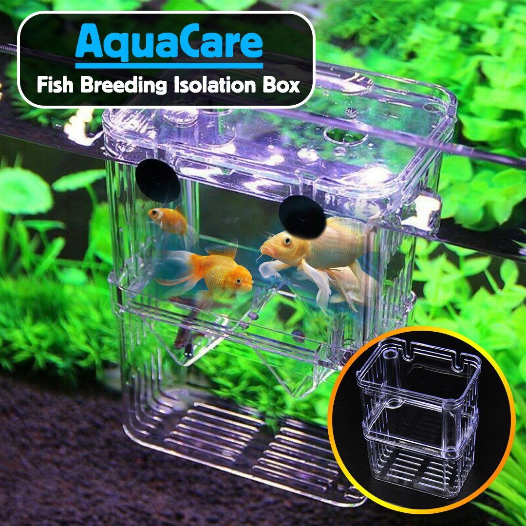 AquaCare Fish Breeding Isolation Box