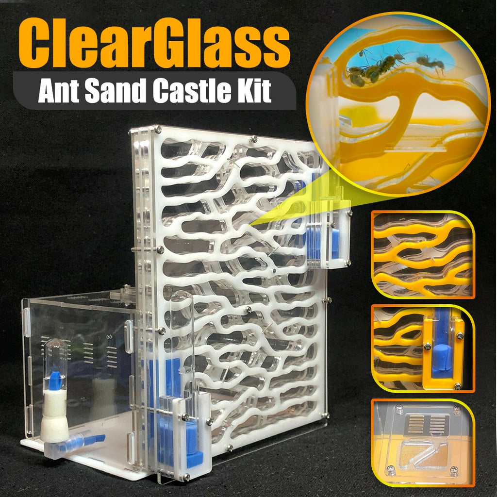 ClearGlass Ant Sand Castle Kit