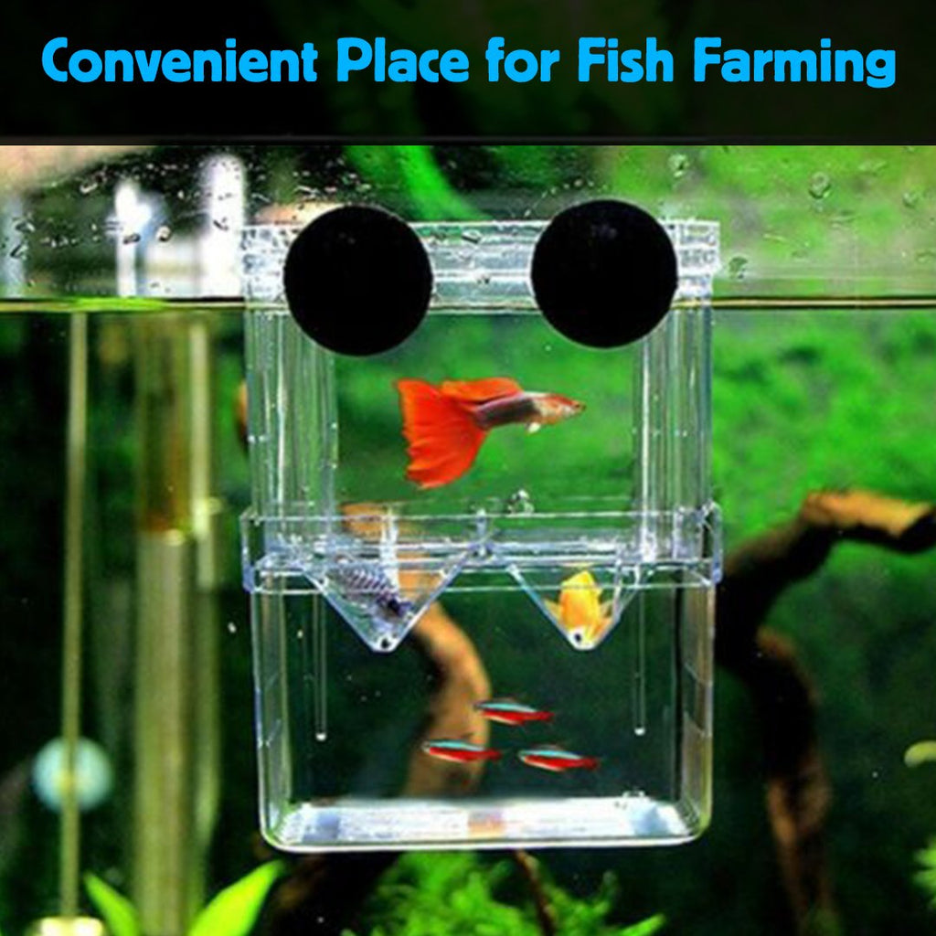 AquaCare Fish Breeding Isolation Box