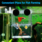 AquaCare Fish Breeding Isolation Box