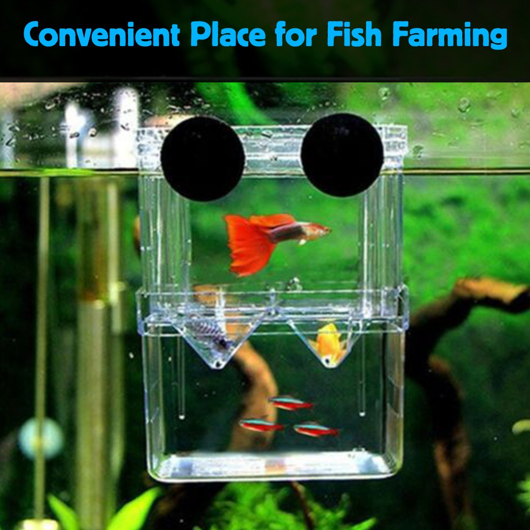 AquaCare Fish Breeding Isolation Box