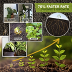 Organic Rapid Rooting Powder