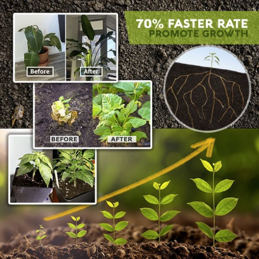 Organic Rapid Rooting Powder