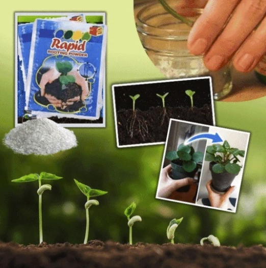 Organic Rapid Rooting Powder