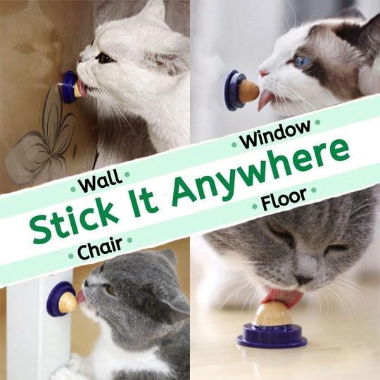 HealthyChups Nutritious Cats All Day Treats