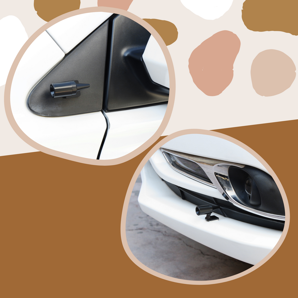 Wildlife Warning Car Alarm