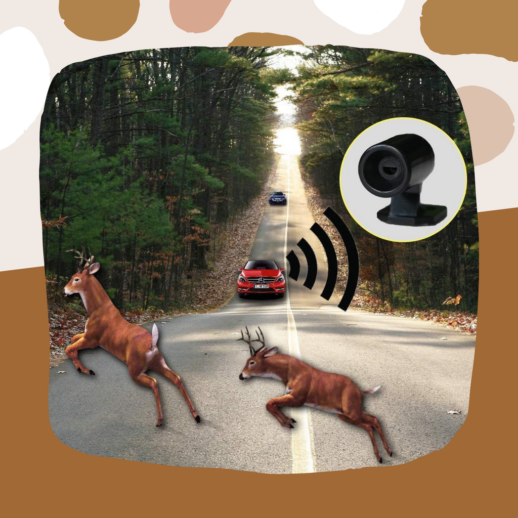 Wildlife Warning Car Alarm