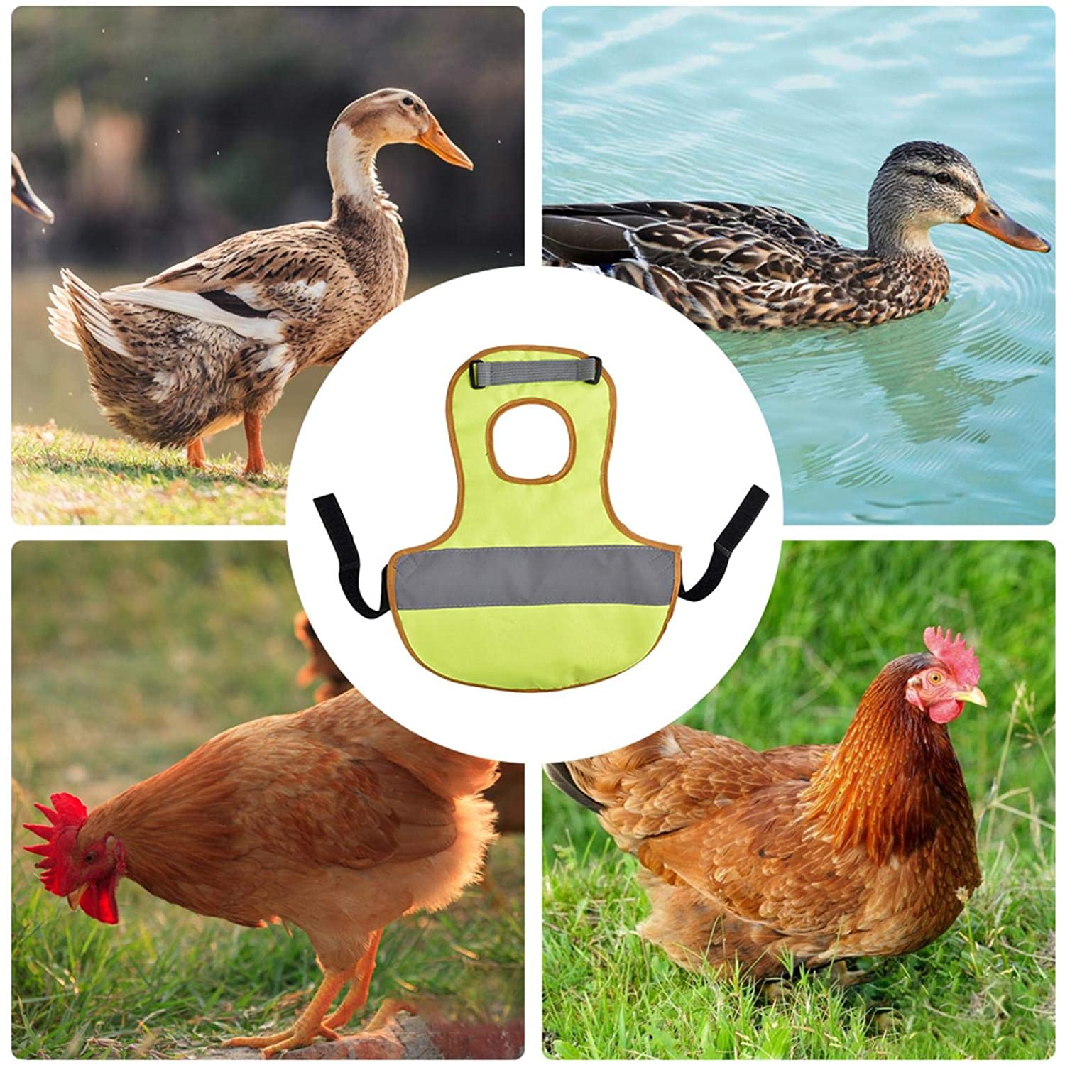 Poultry+ Chicken Reflective Vest