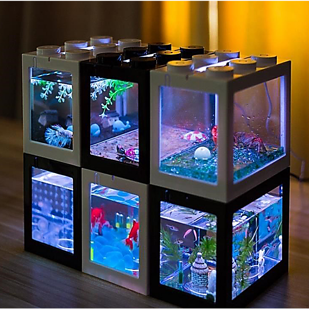 AquaCOOL Mini Fish Tank