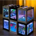 AquaCOOL Mini Fish Tank
