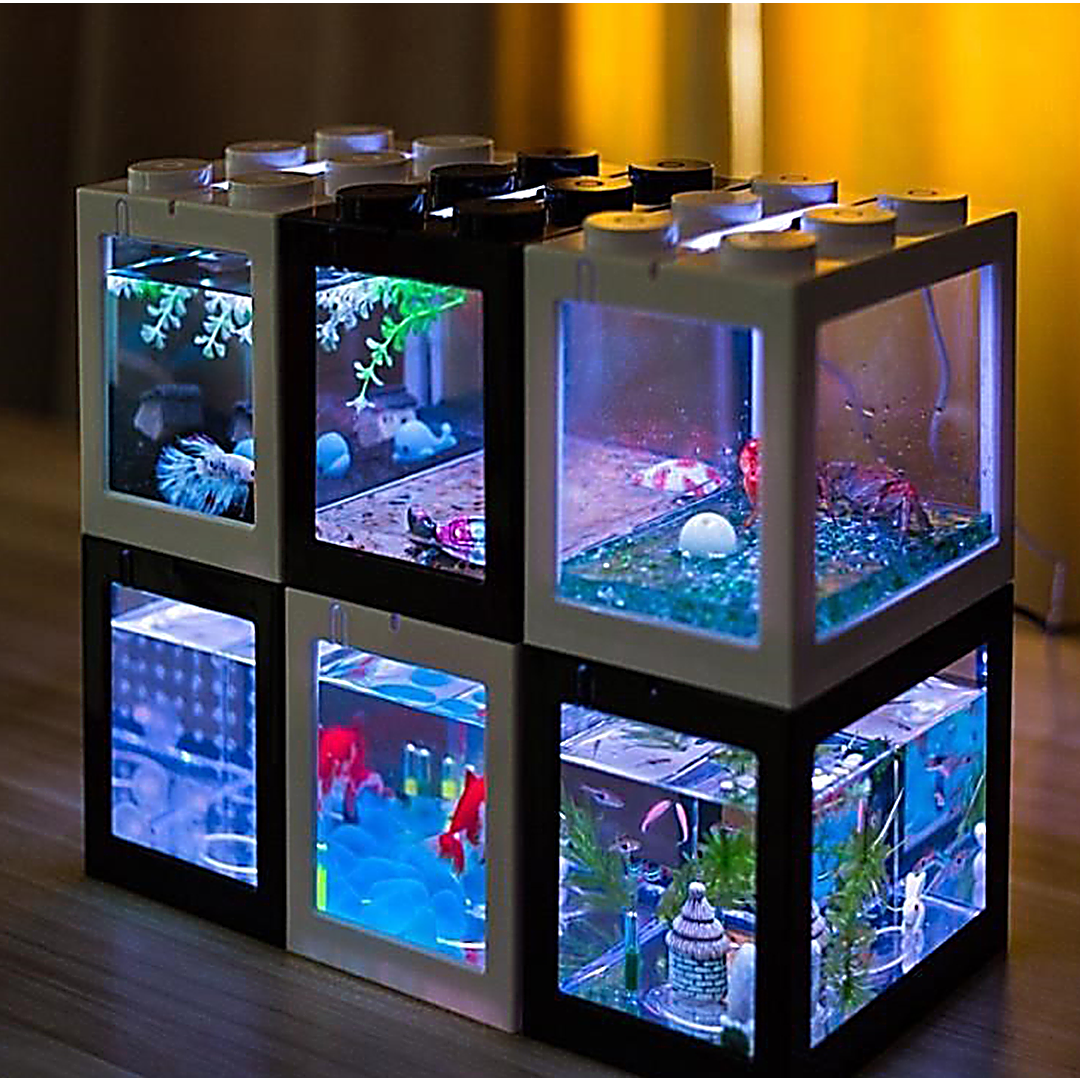 AquaCOOL Mini Fish Tank