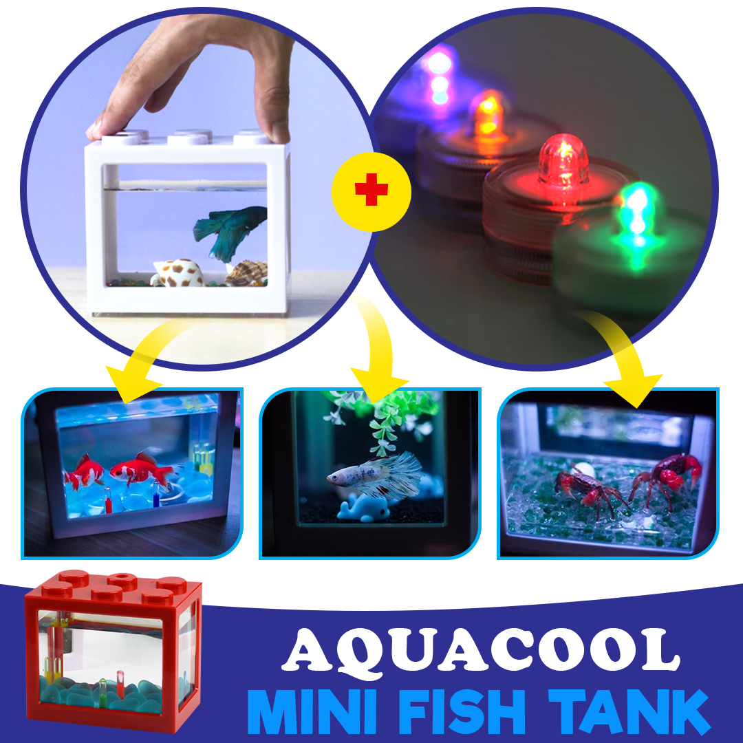 AquaCOOL Mini Fish Tank