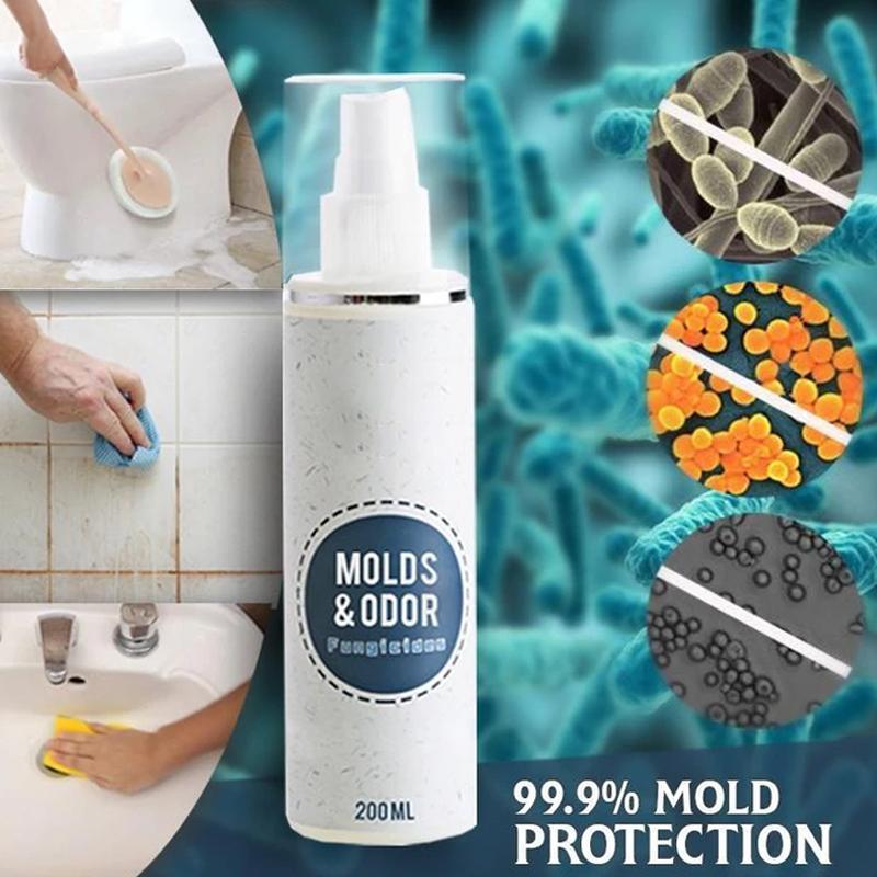 PowerMax 1-Spray Mold Remover