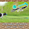 Portable Outdoor Dog Peg Toy
