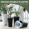 Orchid Double Planter with Mesh Pot