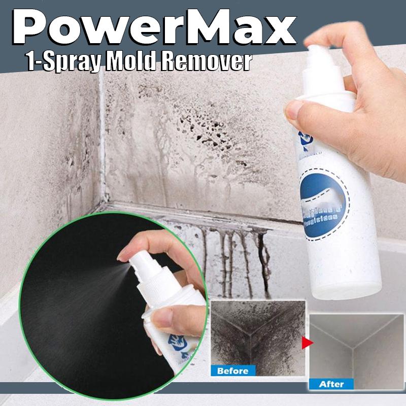 PowerMax 1-Spray Mold Remover