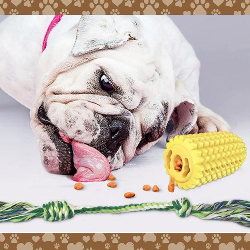 Corn Dog Toothbrush and Chew Toy