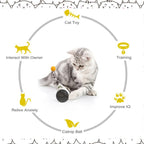 Swinging Balance Cat Toy
