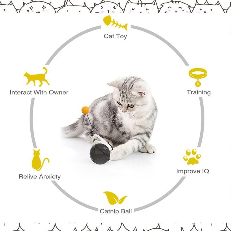 Swinging Balance Cat Toy