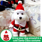 PoshPaws Pet Santa Claus Costume