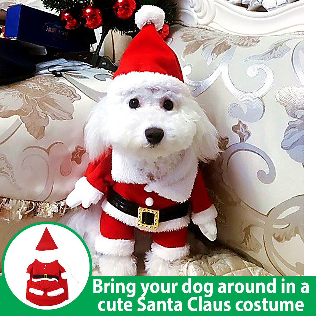 PoshPaws Pet Santa Claus Costume