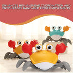 TubTime Crab Clockwork Bath Toy