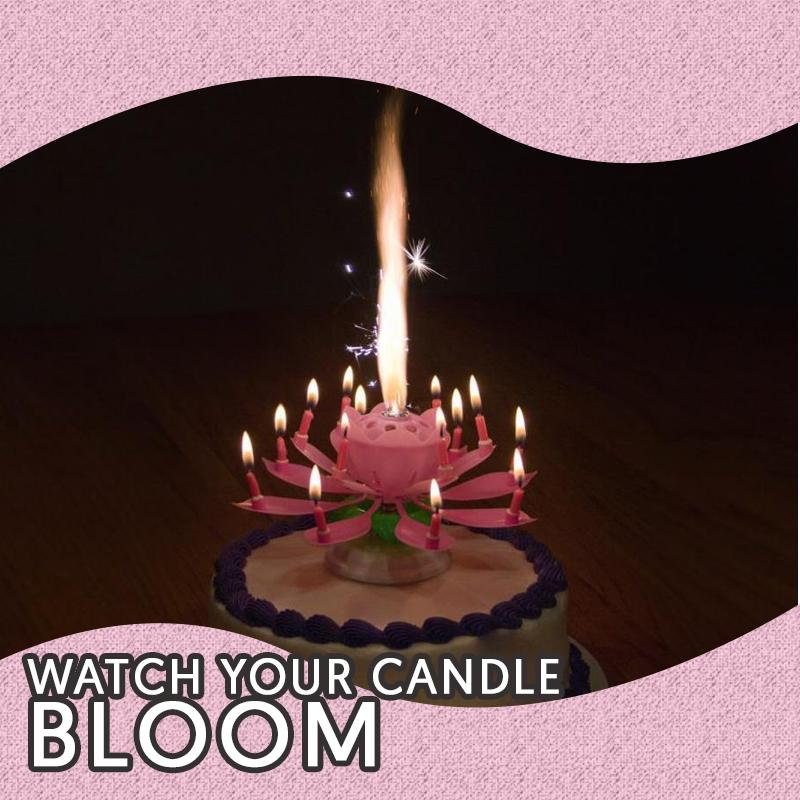 Lotus Magic Flower Birthday Candle
