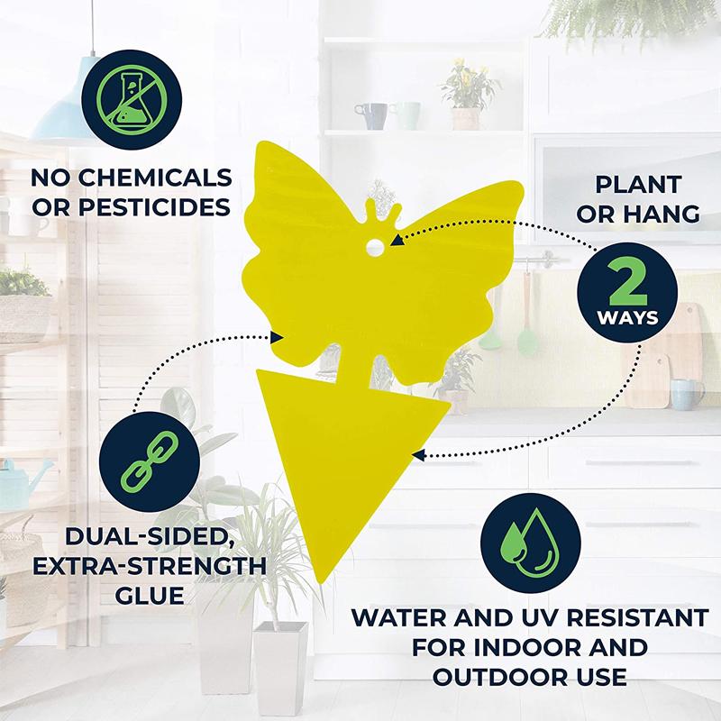 Sticky Fruit Fly Trap