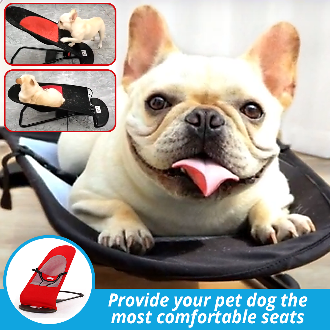 BounceZ Portable Dog Bouncer