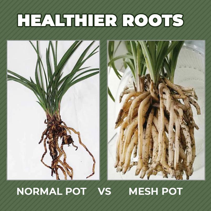 Orchid Double Planter with Mesh Pot