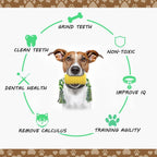 Corn Dog Toothbrush and Chew Toy