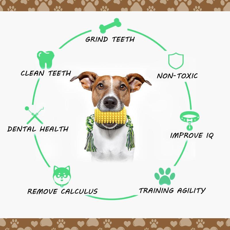 Corn Dog Toothbrush and Chew Toy