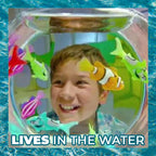 Interactive Cat Toy Swimming Fish Robot (2 PCS)